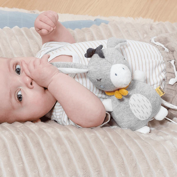 Fehn ® Miniatuur Muzikale Ezel Fehn NATURE 5 Fehn ® Miniatuur Muzikale Ezel Fehn NATURE - Afbeelding 5