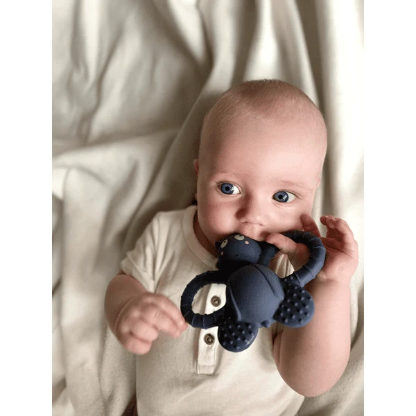 Filibabba Bijtring Felix The Fly Natuurlijk Rubber - Muddly Blue 2 Filibabba Bijtring Felix The Fly Natuurlijk Rubber - Muddly Blue - Afbeelding 2