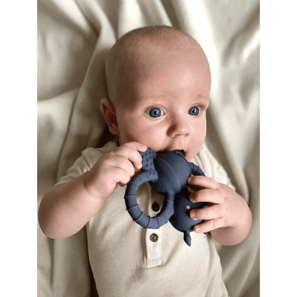 Filibabba Bijtring Felix The Fly Natuurlijk Rubber - Muddly Blue 4 Filibabba Bijtring Felix The Fly Natuurlijk Rubber - Muddly Blue - Afbeelding 4