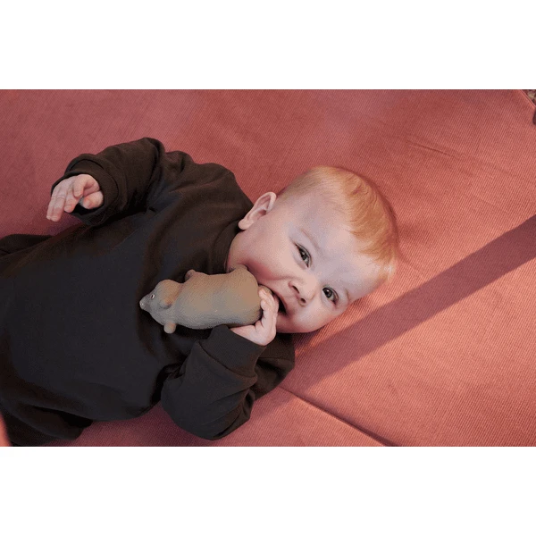 Filibabba Bijtring Van Natuurlijk Rubber - Bertram De Beer 5 Filibabba Bijtring Van Natuurlijk Rubber - Bertram De Beer - Afbeelding 5