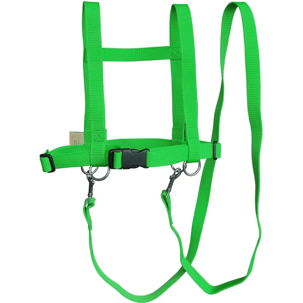 Helga Kreft Zügelmatz Paardenspeellijn, Groen 3 Helga Kreft Zügelmatz Paardenspeellijn, Groen - Afbeelding 3