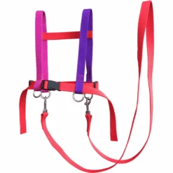 Helga Kreft Zügelmatz® Paardenspeellijn, Rood Gekleurd