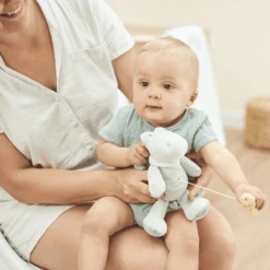 Nattou Romeo, Jules & Sally Mini Muziekdoos Krokodil -Kinderspeelgoed nattou romeo jules amp sally mini muziekdoos krokodil a390986 4