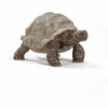 Schleich Reuzen Schildpad 14824
