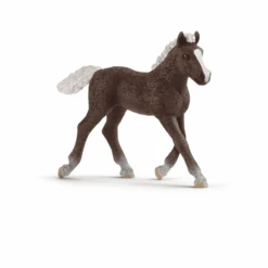 Schleich Schwarzwalder Veulen 13899
