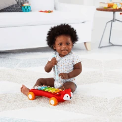 SKIP HOP Vos Xylofoon -Kinderspeelgoed skip hop vos xylofoon a271005 3