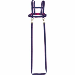 SPIEGELBURG COPPENRATH Paard Leiband Paardenvrienden 6 SPIEGELBURG COPPENRATH Paard Leiband Paardenvrienden -Kinderspeelgoed spiegelburg coppenrath paard leiband paardenvrienden a328849 2