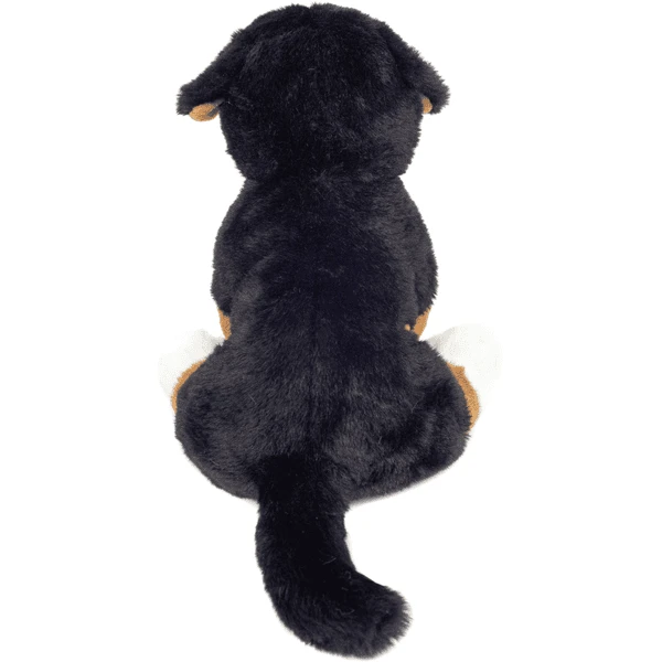 Teddy HERMANN ® Berner Sennenhond Zittend, 26 Cm 3 Teddy HERMANN ® Berner Sennenhond Zittend, 26 Cm - Afbeelding 3