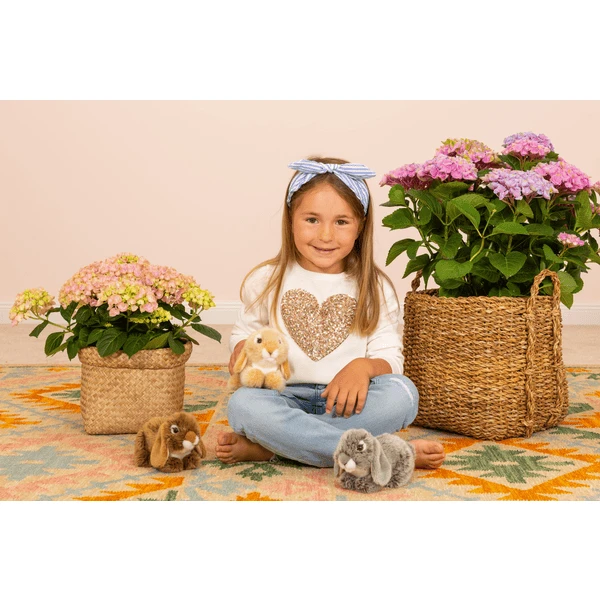 Teddy HERMANN ® Ram Konijn Grijs, 18 Cm 2 Teddy HERMANN ® Ram Konijn Grijs, 18 Cm - Afbeelding 2