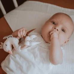 Tryco Pluche Speen Met Rammelaar - Swan Ivy -Kinderspeelgoed tryco pluche speen met rammelaar swan ivy a394204 4